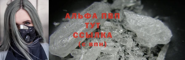 мяу мяу мука Абаза