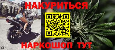 стаф Кулебаки