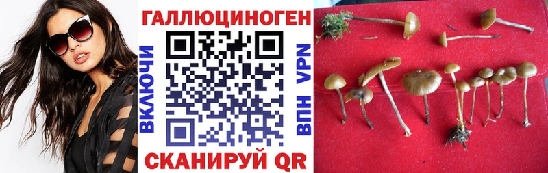 Псилоцибиновые грибы мухоморы  сколько стоит  kraken зеркало  Каменск-Уральский 