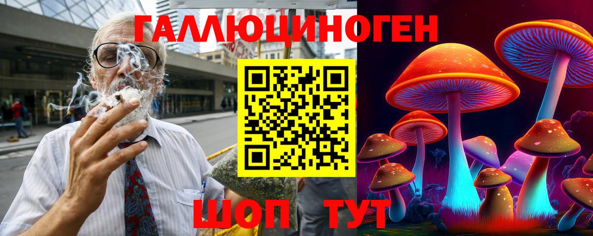 Галлюциногенные грибы Psilocybe Каменск-Уральский
